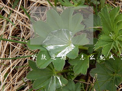 贷款逾期 怎么就成了诈骗 贷款逾期 怎么就成了诈骗